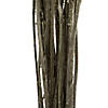 Vickerman 16-18" Yellow Billy Buttons. 25-30 stem bundle, Dried Image 3