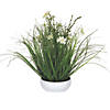Vickerman 16.5" Potted Cream Cosmos and Green Grass Image 1