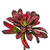 Vickerman 16" Artificial Green Succulent Spray Image 2