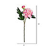 Vickerman 16" Artificial Light Pink Peony Spray Includes 6 sprays per pack Image 1