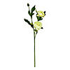 Vickerman 16" Artificial Lime Peony Spray Includes 6 sprays per pack Image 1