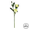 Vickerman 16" Artificial Lime Peony Spray Includes 6 sprays per pack Image 2