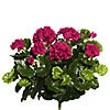 Vickerman 17.5" Artificial Purple Polyester Geranium Bush Image 1