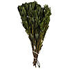 Vickerman 18-24" Oasis Green Platys Foliage Bundle, Comes in a 5 oz Bundle, Preserved Image 1