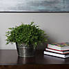 Vickerman 18" Artificial Green Mixed Greenery Half Ball Image 1