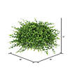 Vickerman 18" Artificial Green Mixed Greenery Half Ball Image 2