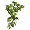 Vickerman 18" Artificial Green Pothos Hanging Bush, Set of 3 Image 1