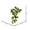 Vickerman 18" Artificial Green Pothos Hanging Bush, Set of 3 Image 1