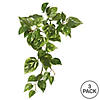 Vickerman 18" Artificial Green Pothos Hanging Bush, Set of 3 Image 2