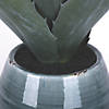 Vickerman 18" Artificial Green Succulent in Ceramic Pot Image 1