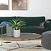 Vickerman 18" Artificial Potted Agave Image 1