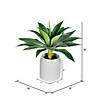 Vickerman 18" Artificial Potted Agave Image 2