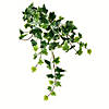 Vickerman 18" Artificial Varigated Ivy Hanging Bush, Set of 3 Image 1