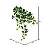 Vickerman 18" Artificial Varigated Ivy Hanging Bush, Set of 3 Image 1