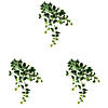 Vickerman 18" Artificial Varigated Ivy Hanging Bush, Set of 3 Image 2