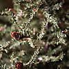 Vickerman 18" Carmel Pine Artificial Christmas Tree, Unlit Image 3