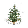 Vickerman 18" Carmel Pine Artificial Christmas Tree, Unlit Image 4