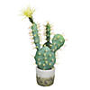 Vickerman 18" Green Cactus in Cement Pot Image 1
