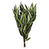 Vickerman 18" Green Weeping Willow Eucalyptus Foliage, 5 oz Bundle, Preserved Image 1