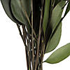 Vickerman 18" Green Weeping Willow Eucalyptus Foliage, 5 oz Bundle, Preserved Image 2