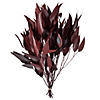 Vickerman 18" Red Weeping Willow Eucalyptus Foliage, 5 oz Bundle, Preserved Image 1