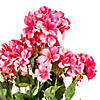 Vickerman 19 5" Artificial Coral Geranium Bush. Image 2