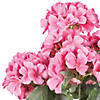 Vickerman 19 5" Artificial Coral Geranium Bush. Image 4