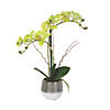 Vickerman 19.5" Artificial Green Phalaenopsis In Metal Pot, Real Touch Petals Image 1