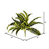 Vickerman 19" Artificial Green Boston Fern Bush, Set of 3 Image 1