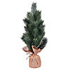 Vickerman 19" Blue Spruce Sapling Artificial Christmas Tree, Unlit Image 1