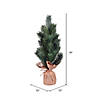Vickerman 19" Blue Spruce Sapling Artificial Christmas Tree, Unlit Image 1