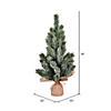 Vickerman 19" Frosted Spruce Sapling Artificial Christmas Tree, Unlit Image 1
