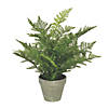 Vickerman 19" Green Potted Fern Image 1