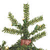 Vickerman 2' 3' 4' Natural Alpine Christmas Tree Set with Clear Lights Image 1
