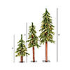 Vickerman 2' 3' 4' Natural Alpine Christmas Tree Set with Clear Lights Image 3