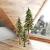 Vickerman 2' 3' 4' Natural Alpine Christmas Tree Set with Clear Lights Image 4
