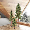 Vickerman 2' 3' 4' Natural Alpine Christmas Tree Set with Multi-Colored Lights Image 4