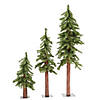 Vickerman 2' 3' 4' Natural Alpine Christmas Tree - Unlit Image 1