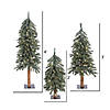 Vickerman 2' 3' 4' Natural Bark Alpine Artificial Christmas Tree Set, Clear Dura-lit Lights Image 3