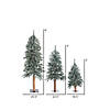 Vickerman 2' 3' 4' Natural Bark Alpine Artificial Christmas Tree Set, Unlit Image 2
