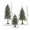 Vickerman 2' 3' 4' Natural Bark Alpine Artificial Christmas Tree Set, Warm White Dura-lit LED Lights Image 2