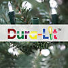 Vickerman 2' 3' 4' Natural Bark Alpine Artificial Christmas Tree Set, Warm White Dura-lit LED Lights Image 3