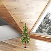Vickerman 2' Alpine Christmas Tree with Warm White LED Lights Image 3