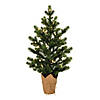 Vickerman 2' Bryson Spruce Artificial Christmas Tree, Dura-Lit&#174; LED Warm White Mini Lights Image 1