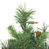Vickerman 2' Cheyenne Pine Christmas Tree with Multi-Colored LED Lights Image 1