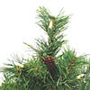 Vickerman 2' Cheyenne Pine Christmas Tree with Warm White LED Lights Image 1