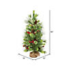 Vickerman 2' Morris Pine Artificial Christmas Tree, Unlit Image 1