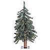 Vickerman 2' Natural Bark Alpine Christmas Tree with Warm White LED Lights Image 1