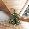 Vickerman 2' Snow Tipped Mixed Pine and Berry Christmas Tree with Clear Lights Image 4