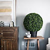 Vickerman 20" Artificial Green Boxwood Ball Image 1